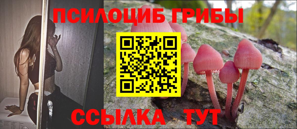 Галлюциногенные грибы мухоморы Камень-на-Оби