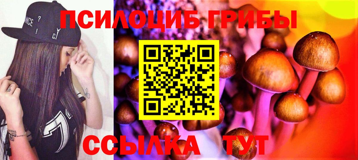 Камень-на-Оби  Гашиш  Вход с VPN  Экстази  Бошки Шишки  МАРИХУАНА  Мефедрон кристаллы  Cocaine 