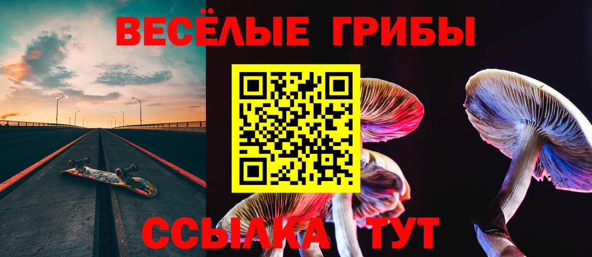 Псилоцибиновые грибы мухоморы  Галлюциногенные грибы Magic Shrooms  купить  сайты  Вход с VPN  Камень-на-Оби 